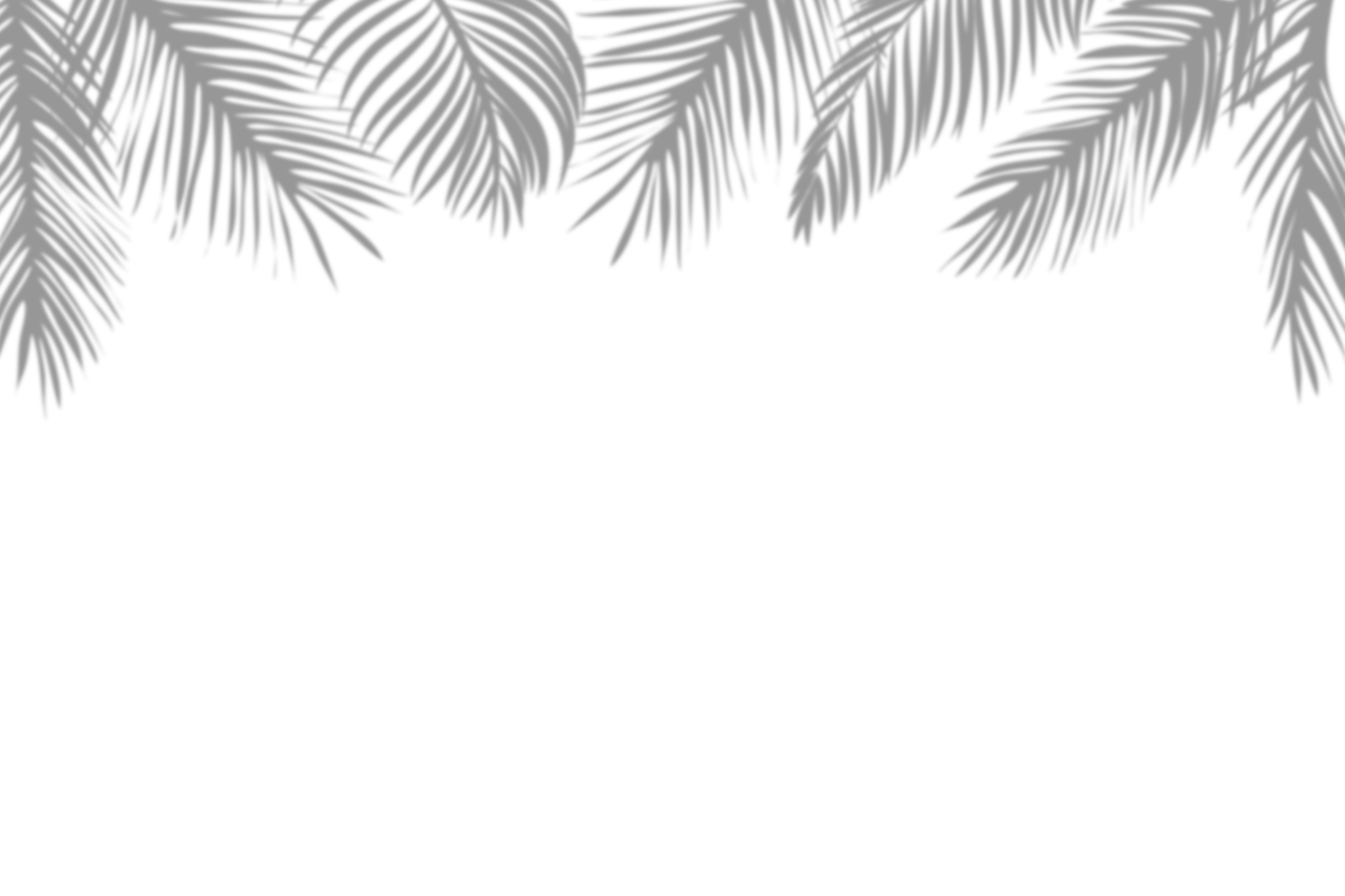 palm background